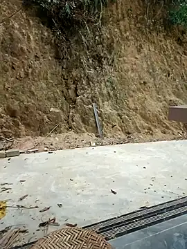 sushi-asa online show from 03/31/26, 02:35