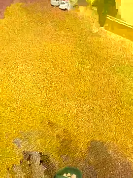 michaarMichaels online show from 04/05/26, 06:54