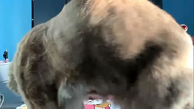 AndreeMerryman online show from 02/05/26, 08:08