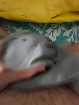 birzevkmeselesi online show from 02/10/26, 08:57