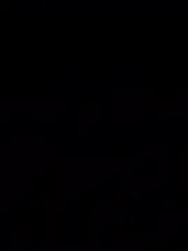 bigbooietx online show from 03/11/26, 02:50