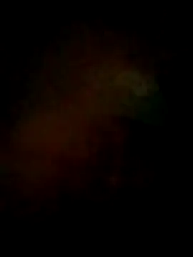 S7LEALTADPERVLIMA7 online show from 06/02/26, 10:06