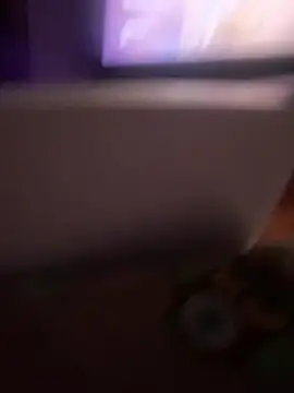 io1Elian online show from 03/06/26, 10:50