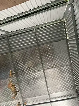 tuncube online show from 03/09/26, 06:17