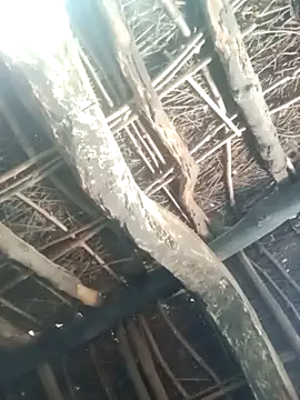 Manu mehta online show from 03/31/26, 04:57