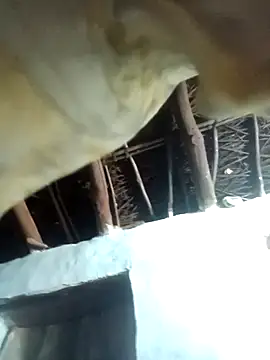 Manu mehta online show from 04/06/26, 05:25