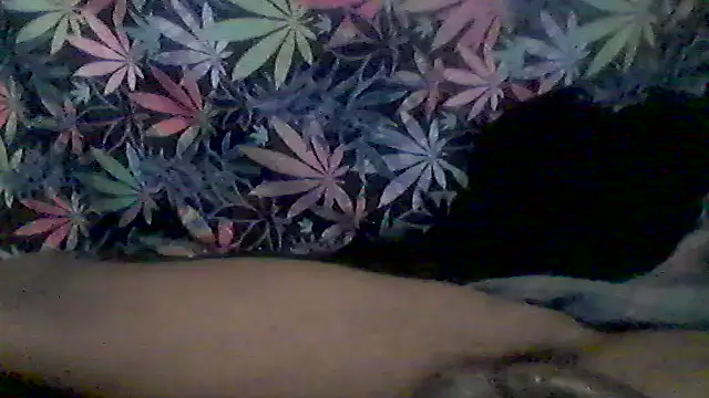 libraxxxstudios online show from 06/09/26, 04:57