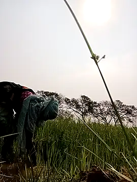 Royal hotti0011 online show from 03/17/26, 03:55