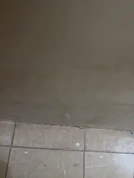 torchermachine online show from 04/18/26, 07:07