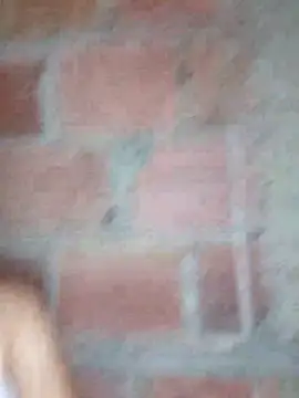 lachiki plus online show from 03/24/26, 10:31