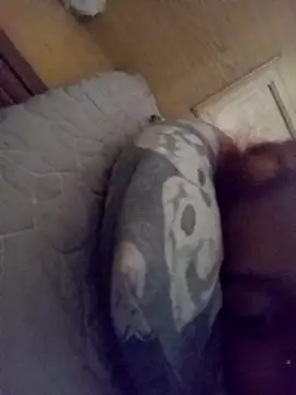 loveofpetitegirls34 online show from 02/21/26, 08:26