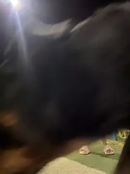 Arya    online show from 02/19/26, 05:47