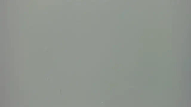 Raven love online show from 04/29/26, 06:25