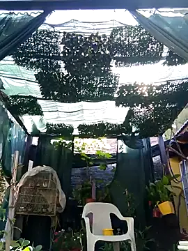 Snapshot of gordorichard chatting on 02/21/26, 12:39 gordorichard online show from 02/21/26, 12:39