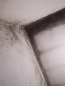 Snapshot of Lamich chatting on 02/13/26, 09:33 Lamich online show from 02/13/26, 09:33