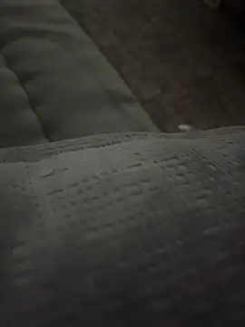 Snapshot of X7med chatting on 02/27/26, 08:42 X7med online show from 02/27/26, 08:42