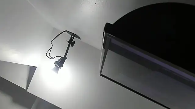 kate morgann online show from 04/01/26, 08:17