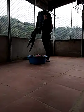 LiilyZi online show from 03/05/26, 01:45