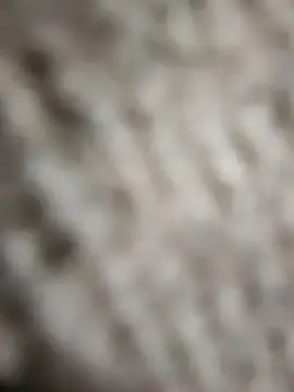 Flexxxo09 online show from 02/04/26, 02:01