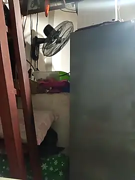 Wildcam21 online show from 02/19/26, 04:30