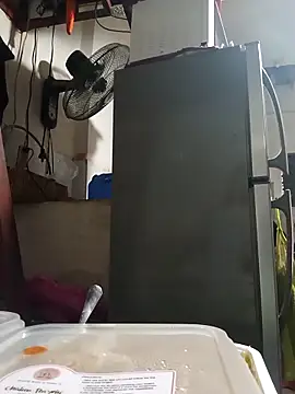 Wildcam21 online show from 02/24/26, 09:51