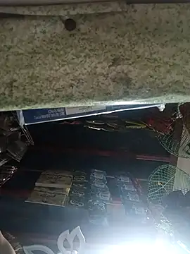 Wildcam21 online show from 03/17/26, 05:44