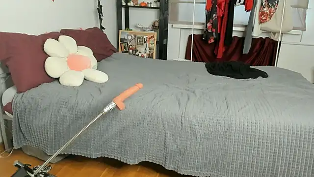 CalmFever online show from 02/19/26, 01:18