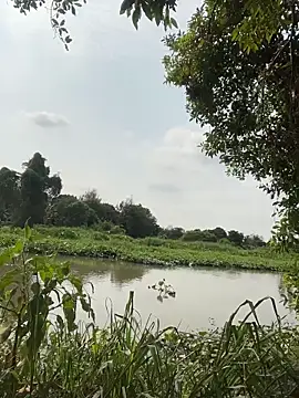 Lewd couple online show from 04/20/26, 02:14