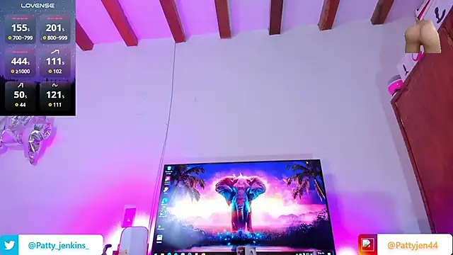 pattyjenkinss online show from 02/17/26, 11:33