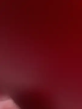 stallone italiano 62 online show from 02/09/26, 11:14