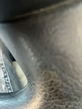 stallone italiano 62 online show from 04/11/26, 05:39