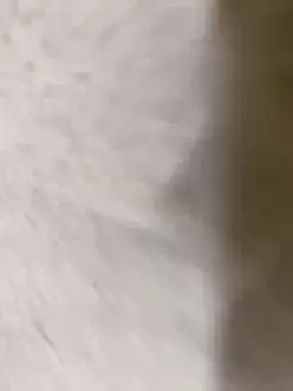 chennai sexyboy online show from 02/08/26, 04:32