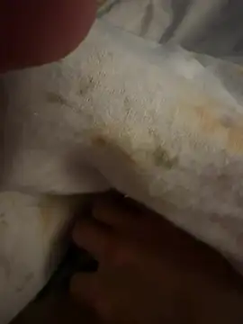 sbollando13 online show from 02/08/26, 07:56