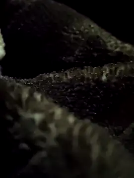 aryanvfit online show from 02/09/26, 06:01