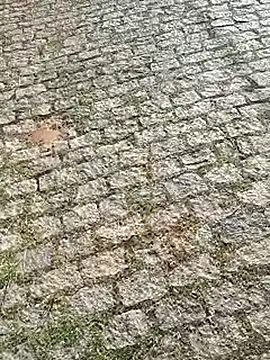 DiamanteNegro90 online show from 04/07/26, 11:43