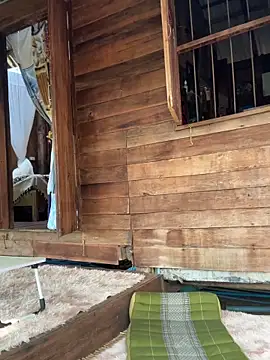 fairy bell online show from 03/05/26, 05:36