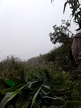 lovely-742 online show from 03/07/26, 01:57