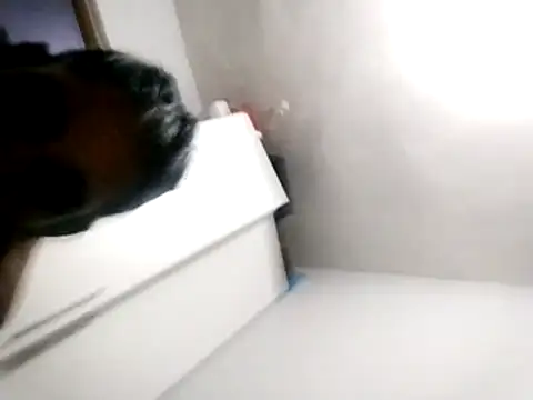 Baby P online show from 03/18/26, 05:49