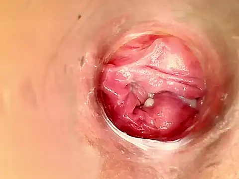 Snapshot of karol_kane chatting on 02/11/26, 03:17 karol kane online show from 02/11/26, 03:17