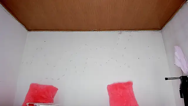 Snapshot of karol_kane chatting on 02/13/26, 03:19 karol kane online show from 02/13/26, 03:19