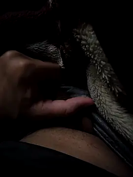 MoMnsi online show from 02/25/26, 06:01