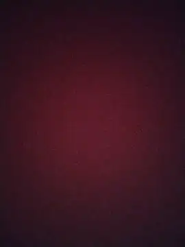 Snapshot of Regina_23 chatting on 02/20/26, 12:07 Regina 23 online show from 02/20/26, 12:07