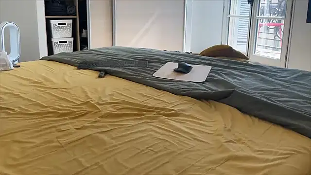 irohsako online show from 03/21/26, 11:37