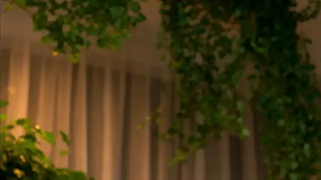 Snapshot of TheMaddisonShow_ chatting on 03/04/26, 03:56 TheMaddisonShow online show from 03/04/26, 03:56