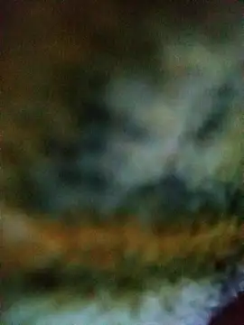 Avinh 09 online show from 02/15/26, 04:31