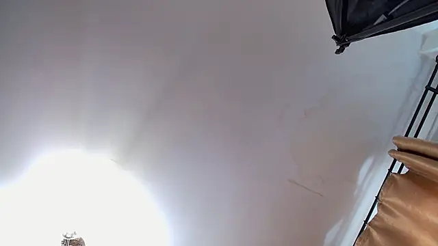 VioletVIP online show from 03/12/26, 12:33