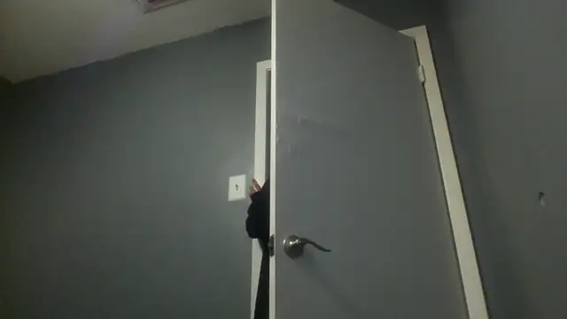 MissBella0969 online show from 04/25/26, 04:37