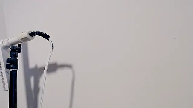 MARYXS1 online show from 02/24/26, 12:58