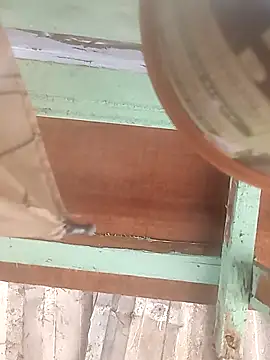 Snapshot of euchapo99 chatting on 02/19/26, 01:51 euchapo99 online show from 02/19/26, 01:51