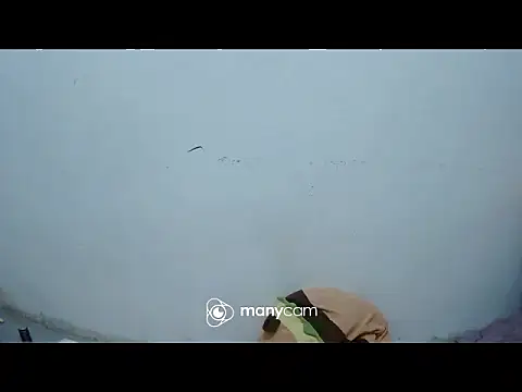 exotic girl69x online show from 03/04/26, 02:45